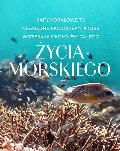 Zycia Mopskiego