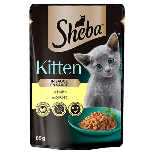 kitten product - Produkt