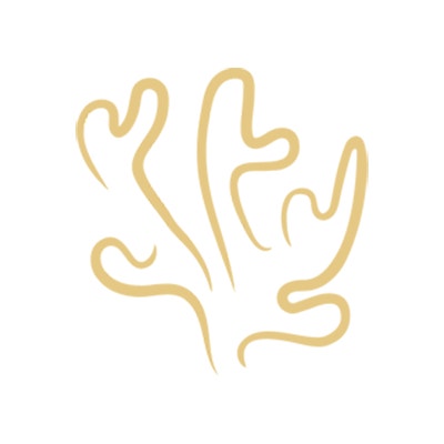 Odbudowa raf koralowych