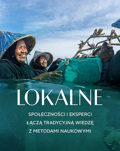 Lokalne