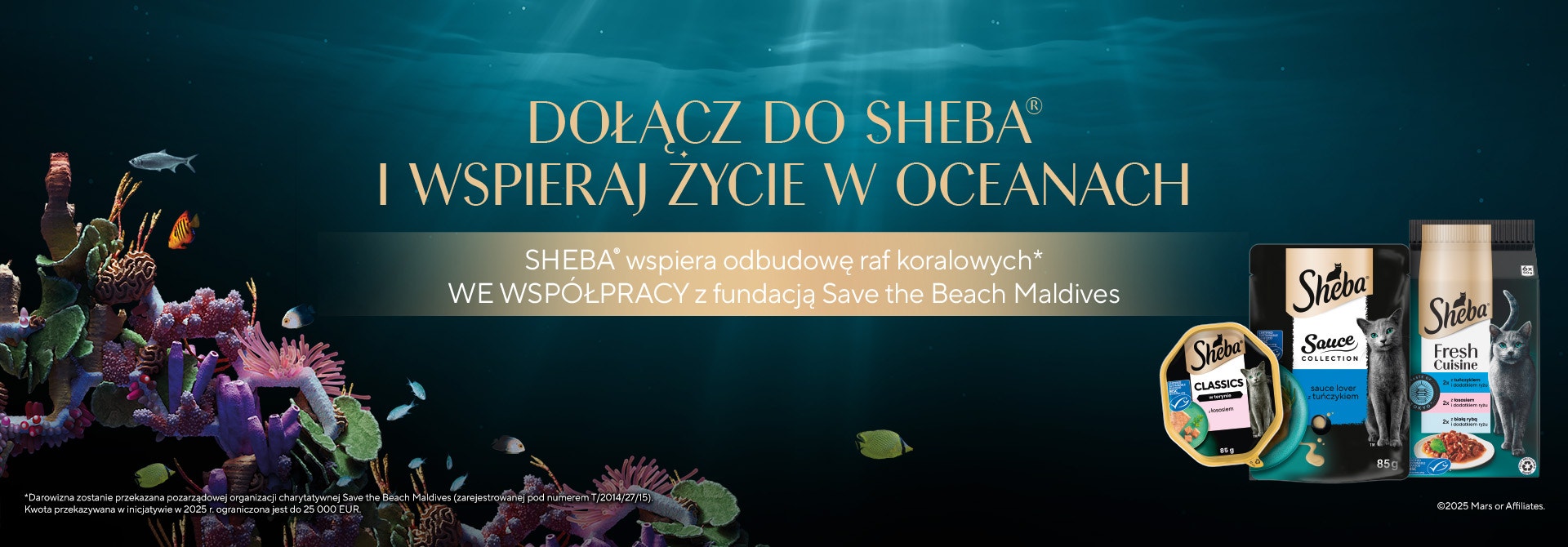 Coral Reef Restoration