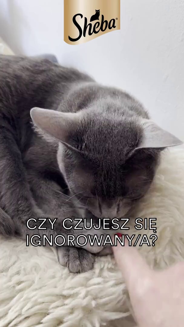 Ignored to Adored 1 cover image