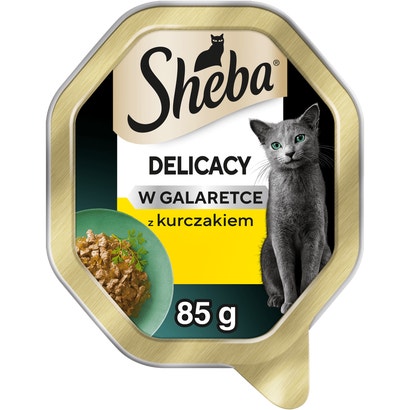 Delicacy z kurczakiem w galaretce