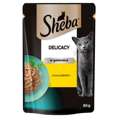 Delicacy z Kurczakiem w galaretce
