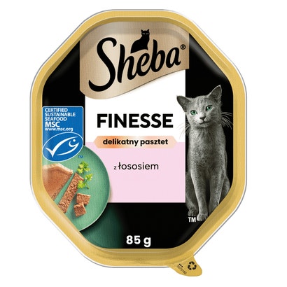 Finesse z Łososiem w delikatnym pasztecie